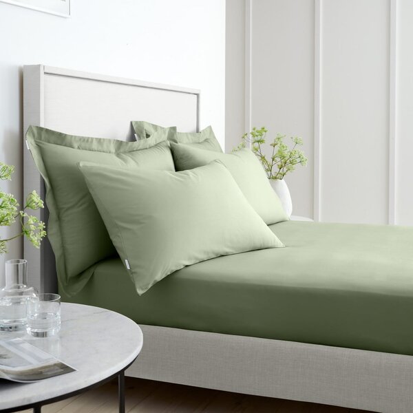 Zelena napenjalna rjuha iz bombažnega perkala 90x190 cm Cotton Percale – Bianca