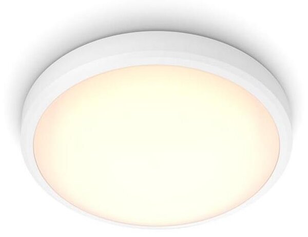 Philips - LED Kopalniška stropna svetilka BALANCE LED/17W/230V IP44