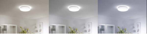 Leuchten Direkt 14742-16 - LED RGB Zatemnitvena svetilka JUPI LED/18W/230V + Daljinski upravljalnik