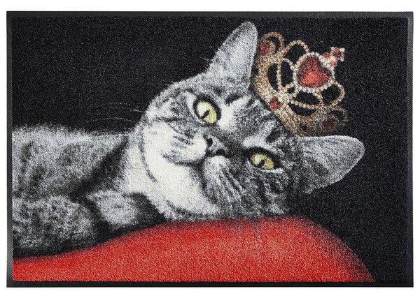 PREDPRAŽNIK Royal Cat 50/75 cm rdeča, črna