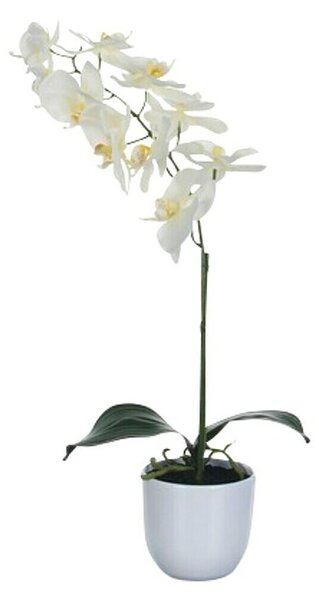 Umetna roža Phalaenopsis (Višina: 60 cm, Bela, Plastika)