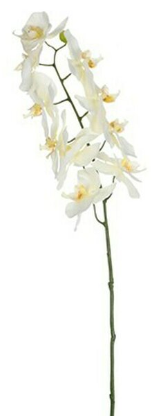Umetna roža (Višina: 71 cm, Blanca, Plastika)