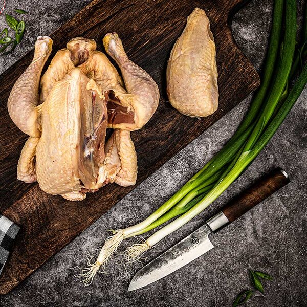 FORGED VG10 Santoku nož 14 cm
