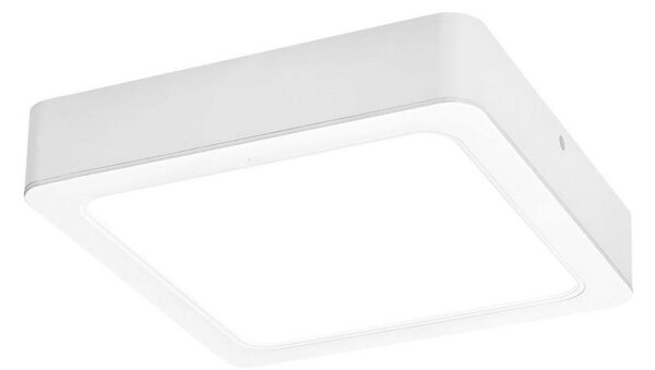 Rabalux 3176 - LED stropna svetilka SHAUN LED/24W/230V 22 cm