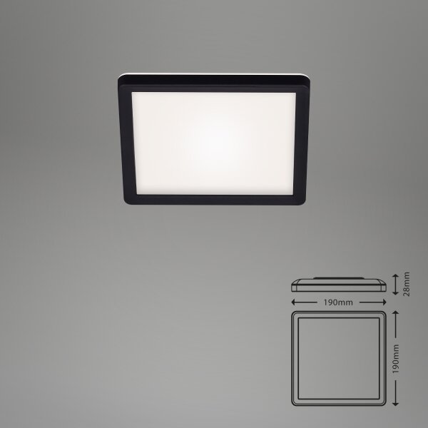 Briloner 7153-415 - LED stropna svetilka SLIM LED/12W/230V 19x19 cm