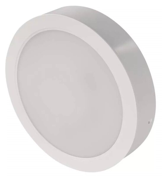 LED stropna svetilka LED/24W/230V premer 22 cm bela