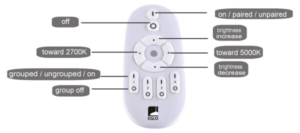 Eglo 75563 - LED Zatemnitveni panel BOTAZZO LED/25W/230V 2700-5000K + Daljinski upravljalnik