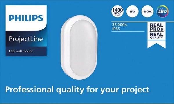 Philips - LED Stenska svetilka PROJECTLINE LED/15W/230V IP65