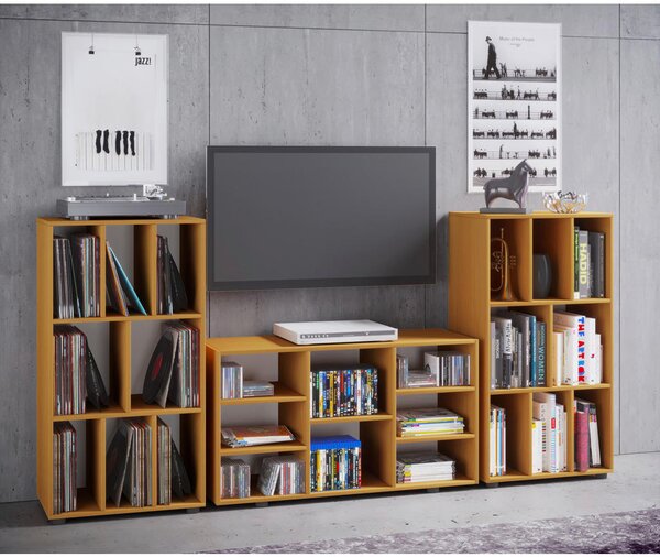 REGAL ZA GRAMOFONSKE PLOŠČE 60/115/36 cm barve bukve