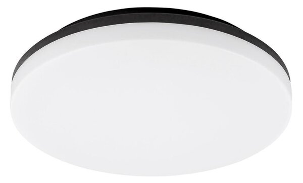 Rabalux 7265 - LED Kopalniška stropna svetilka PERNIK LED/24W/230V IP54