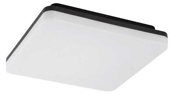 Rabalux 7250 - LED Kopalniška stropna svetilka PERNIK LED/24W/230V IP54