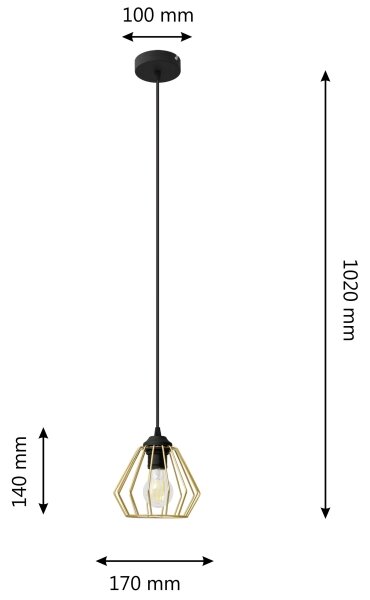 Lestenec na vrvici AGAT 1xE27/60W/230V zlata/črna