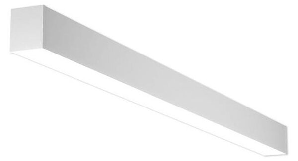 LED2 - LED Stropna svetilka NOLI LED/40W/230V 3000K/3500K/4000K bela