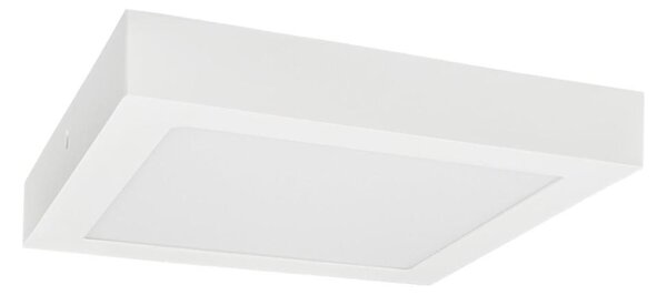 LED Stropna svetilka FENIX LED/18W/230V 3800K 22,5 cm snow bela