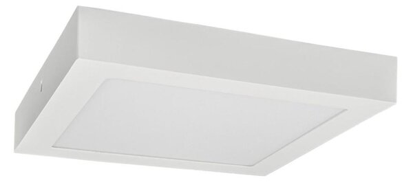 LED Stropna svetilka FENIX LED/18W/230V 3800K 22,5 cm