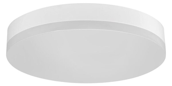 LED Kopalniška stropna svetilka LED/24W/230V 3000K pr. 28 cm IP44