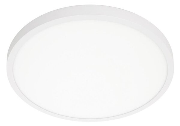 ITALUX PLF-7001-400R-WH-4K - LED Stropna svetilka PELARO LED/30W/230V 4000K bela