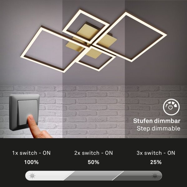 Brilo - LED Zatemnitveni nadgradni lestenec FRAME LED/44W/230V