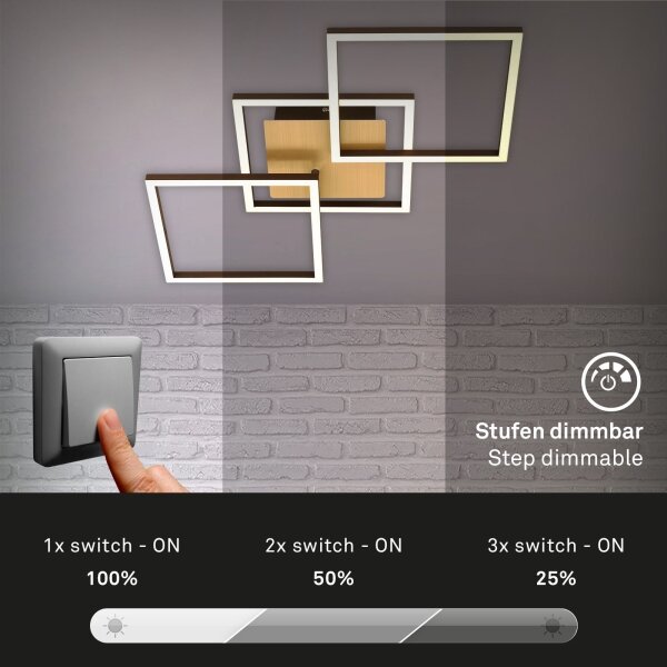 Brilo - LED Zatemnitveni nadgradni lestenec FRAME LED/30W/230V