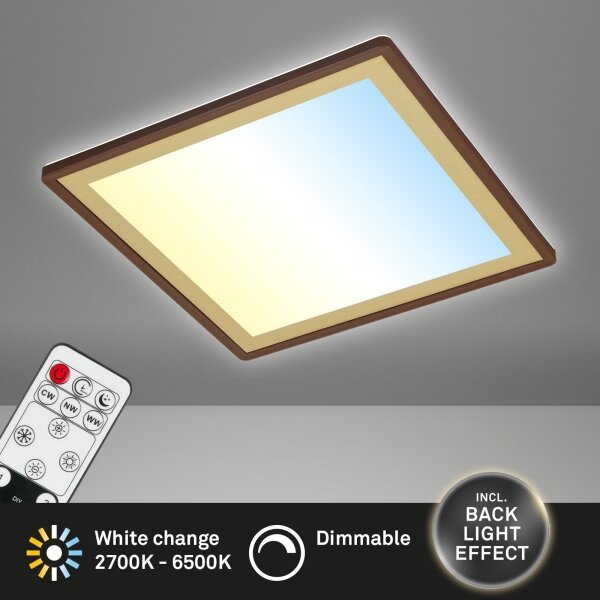 Briloner 7459-417 - LED Zatemnitvena stropna svetilka DECO LED/24W/230V + Daljinski upravljalnik