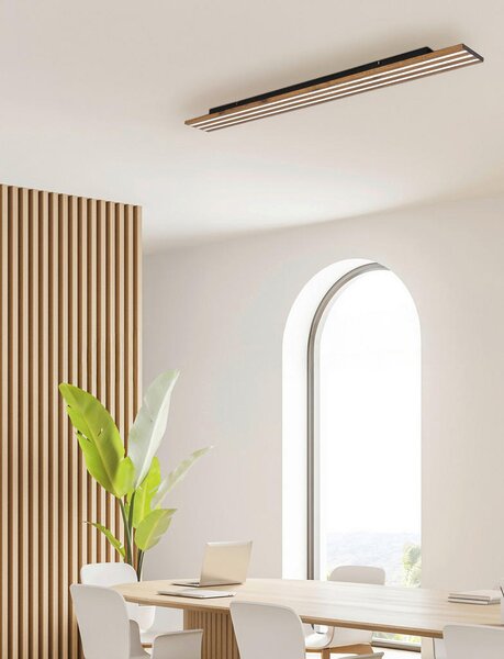 STROPNA LED-SVETILKA Hayden 1800 lm 2700-6500 K 230 V