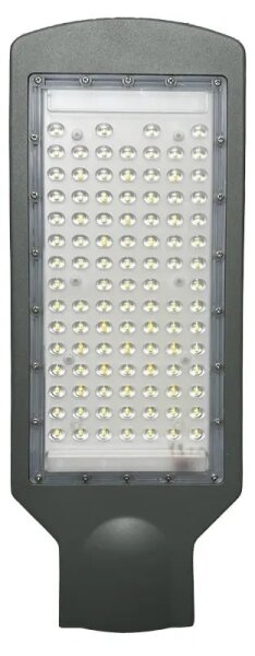 LED Ulična svetilka LED/100W/170-400V IP65