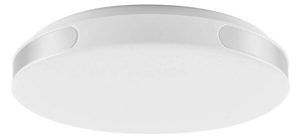 Rabalux 71085 - LED Stropna svetilka DANUTA LED/24W/230V 4000K pr. 39 cm