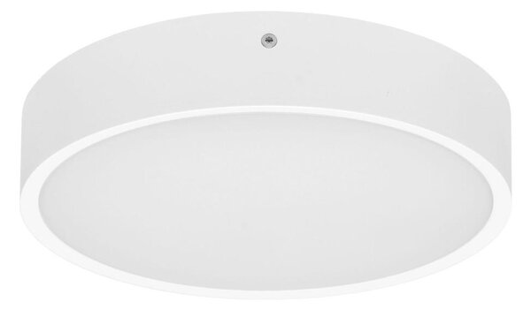 Ecolite WMAT300-15W/BI - LED Stropna svetilka MARTIN LED/15W/230V IP65 bela