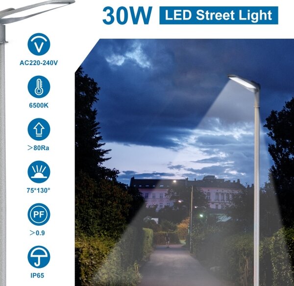 Aigostar - LED Ulična svetilka LED/30W/230V 6500K IP65