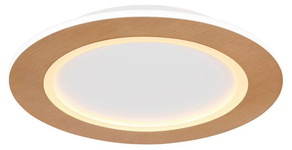 STROPNA LED-SVETILKA CLAY 2700+6500 K 230 V