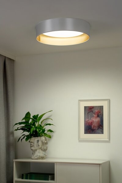 Duolla - LED Stropna svetilka ROLLER LED/24W/230V pr. 45 cm srebrna/zlata