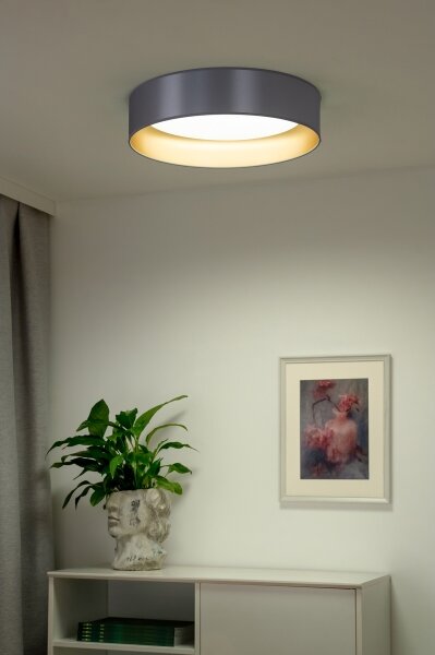 Duolla - LED Stropna svetilka ROLLER LED/24W/230V pr. 45 cm srebrna/zlata