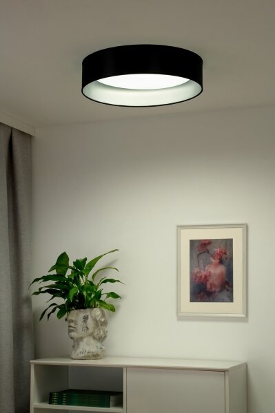 Duolla - LED Stropna svetilka ROLLER LED/24W/230V pr. 45 cm črna/srebrna