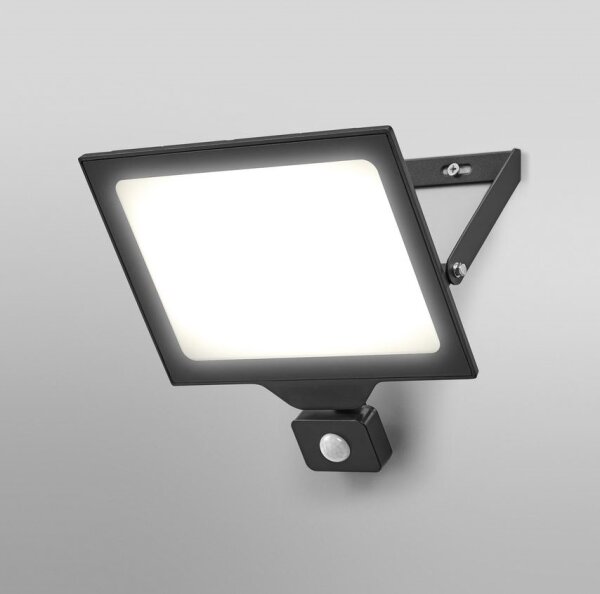 Ledvance - LED Zunanji reflektor s senzorjem FLOODLIGHT LED/100W/230V IP65