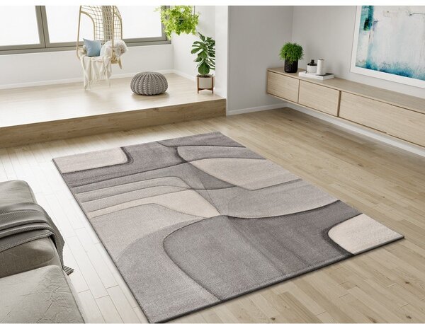 Siva preproga 160x230 cm Medel – Universal