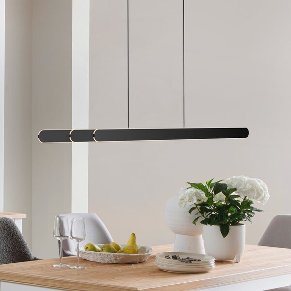 Schöner Wohnen LED-visoka svetilka ADRIANA ROUND, črna, dolžina 160 cm, kovinska, CCT, zatemnjen, Črna, Dnevna soba / jedilnica, Aluminij, Sodobni