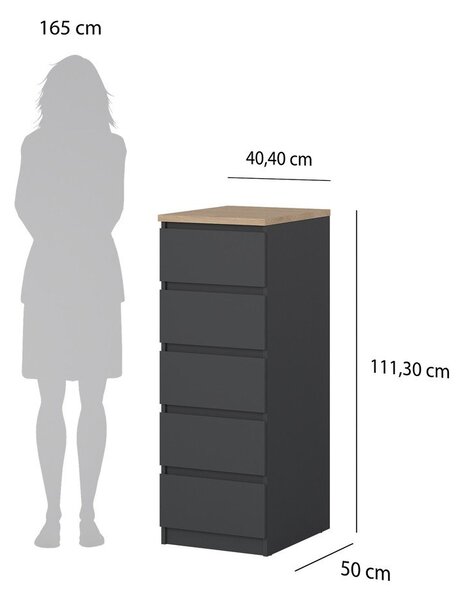 Temno siva komoda 40x111x50 cm Naia – Tvilum