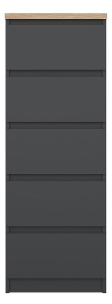Temno siva komoda 40x111x50 cm Naia – Tvilum