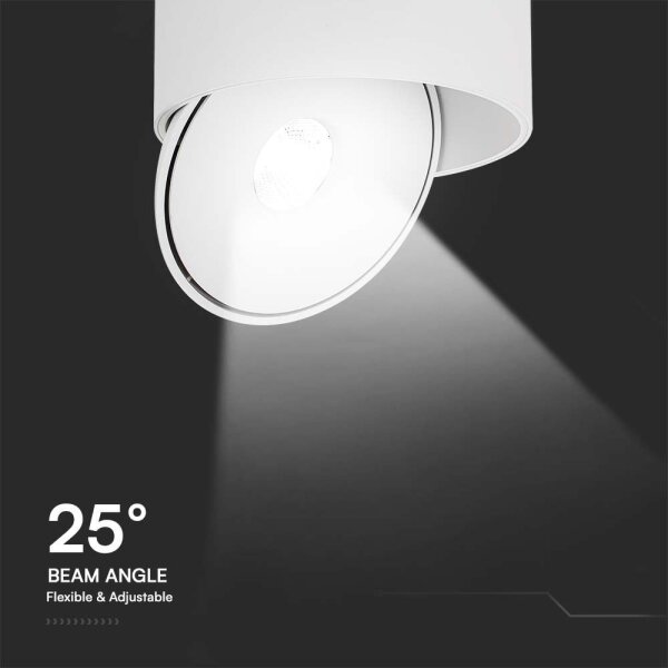 LED Reflektor LED/20W/230V 3000/4000/6400K bela