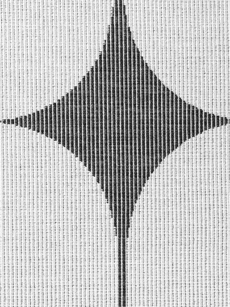 Črno-bela notranja in zunanja preproga 160x230 cm Duet Bowen – NORTHRUGS