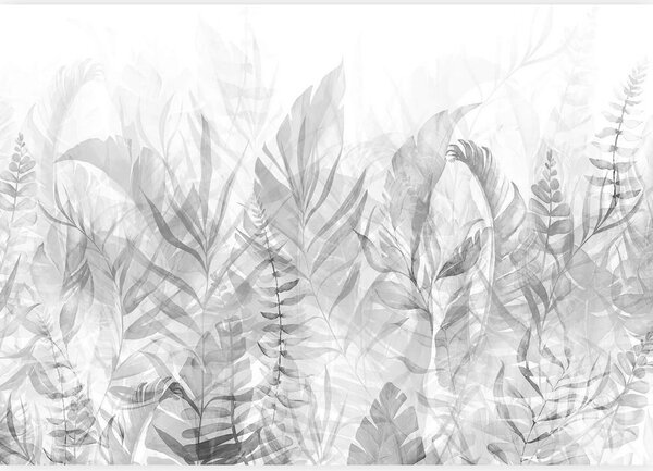 Artgeist Fototapeta Magic Grove, 150x105cm