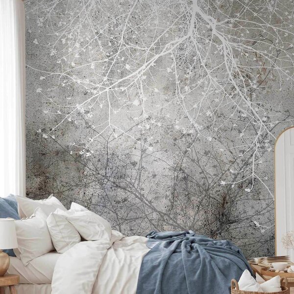 Artgeist Fototapeta Clear Branching, 100x70cm