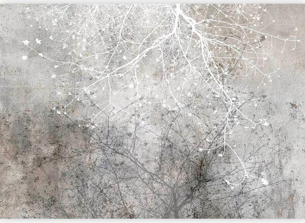 Artgeist Fototapeta Clear Branching, 100x70cm