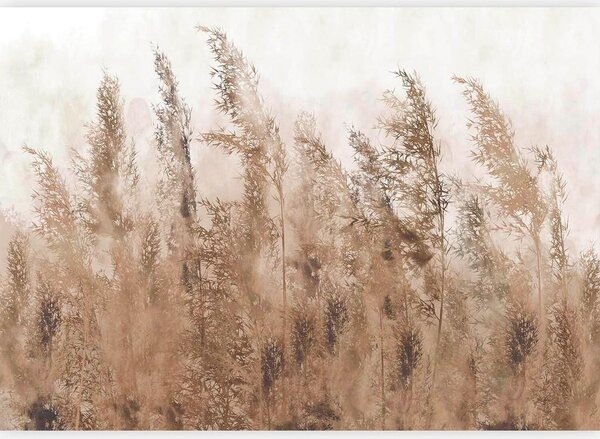 Artgeist Fototapeta Tall Grasses, 100x70cm