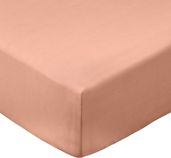 Napenjalna rjuha iz bombažnega perkala v barvi terakote 90x190 cm Cotton Percale – Bianca