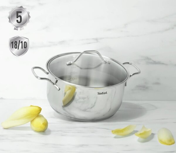 Tefal - Lonec s pokrovom INTUITION 22 cm