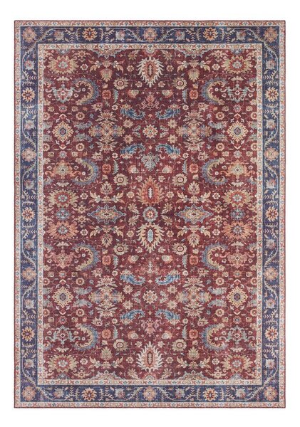 Bordo rdeča preproga Nouristan Vivana, 200 x 290 cm
