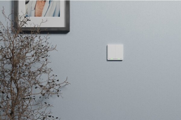 TESLA Smart - Pametno stikalo 2P 230V Zigbee