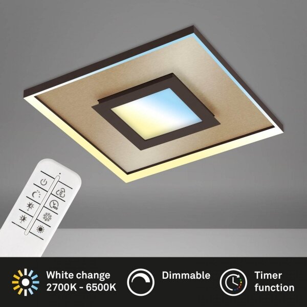 Briloner 3641-017 - LED Zatemnitvena svetilka FRAME LED/30W/230V 2700-6500K + Daljinski upravljalnik