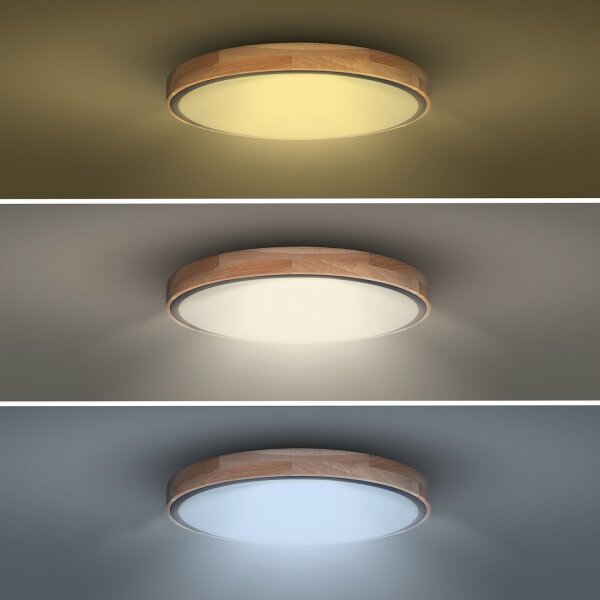 Solight WO8005 - LED Zatemnitvena svetilka IRON OAK LED/48W/230V 3000-6500K pr. 40 cm + Daljinski upravljalnik